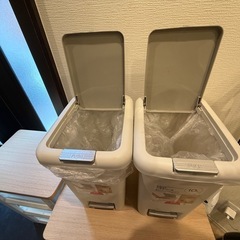2WAYペダルペール、ゴミ箱の画像