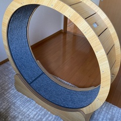 キャットホィールの画像