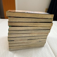 【僕は妹に恋をする】全10巻、【愛し方もわからずに】の画像