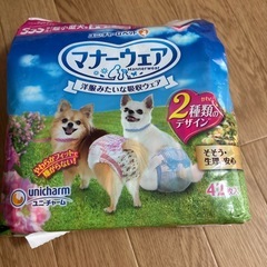 小型犬パンツの画像