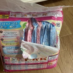 小型犬パンツの画像