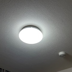 (取引先決定)ライト5個まとめの画像