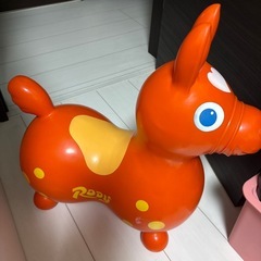 📕ロディの画像