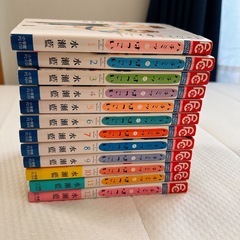 【ハチミツにはつこい】全12巻の画像