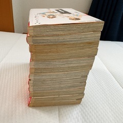 【ハチミツにはつこい】全12巻の画像