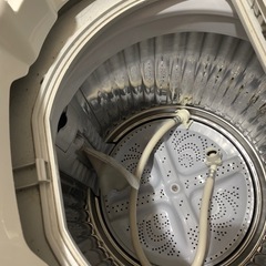 洗濯機　シャープ　一人暮らしの画像
