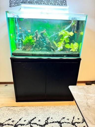 90センチ水槽フル、サンプルページ