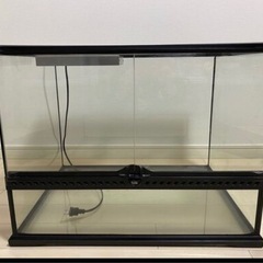 爬虫類ゲージの画像