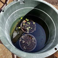 ストロングタブの画像