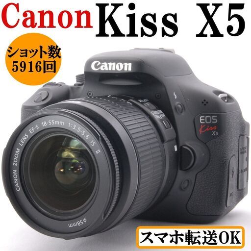 【美品】Canon EOS Kiss X5 一眼レフ カメラ 卒業式 入学式
