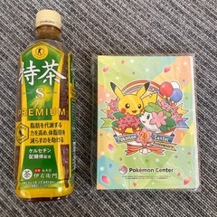 ポケモン ★ ポケモンセンター　20周年記念　ファイル　希少の画像
