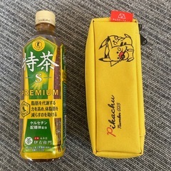 ポケモン ★ ピカチュウ　パコトレー　ペンケース　人気の画像