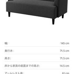 2人掛けソファー　IKEA HEMLINGBY ヘムリングビー　ダークグレーの画像