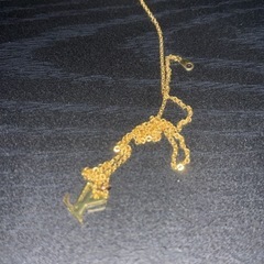 ルイブィトンネックレスの画像