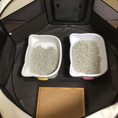 もらって下さいの画像