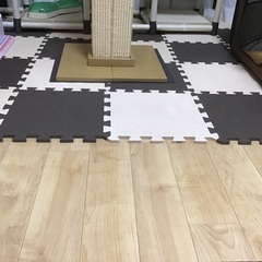 もらって下さいの画像