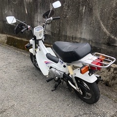 ホンダ　シャリー50   　書類付実働ベース車の画像