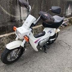 ホンダ　シャリー50   　書類付実働ベース車の画像
