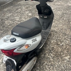 人気　ZRの画像