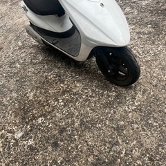 人気　ZRの画像