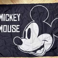 軽自動車 サンシェード  2点セットの画像