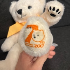 〜円山動物園70周年〜 
テディベアの画像
