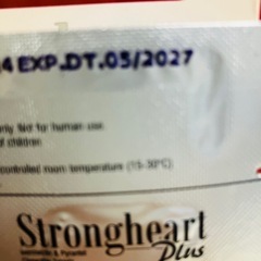 ストロングハート　　ドッグの画像