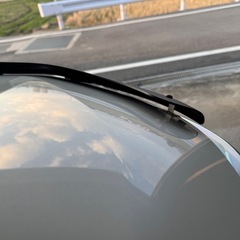 50系　RAV4 EGR製 バグガードの画像