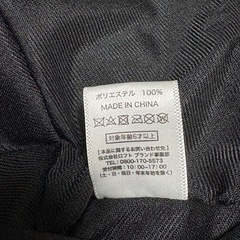 ヤクルトスワローズ　もこもこハットの画像