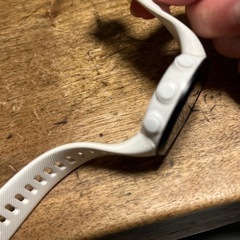 ガーミン　フォアスリート45sの画像