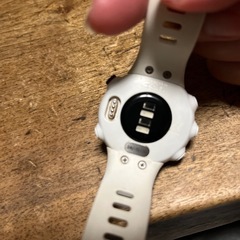 ガーミン　フォアスリート45sの画像