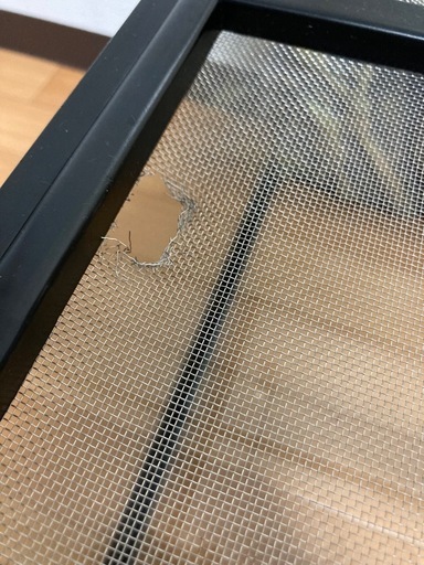 爬虫類用ケージ45cm＋照明