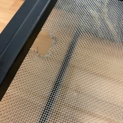 【一旦受付中止】爬虫類用ケージ45cm＋照明の画像