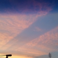 ウォーキング付き添い 報酬なし