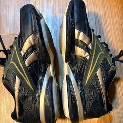 リーボック　イージートーン　25㎝の画像