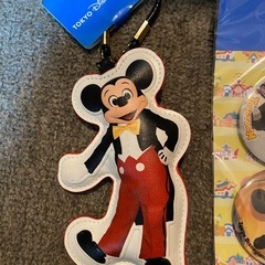 ディズニーランド購入 缶バッチ バックチャームセットの画像