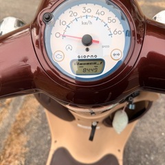 【直接引取/大阪北部】ホンダ ジョルノ 2019年 8,500kmの画像