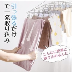 【新品未開封】オールステンレス ピンチハンガー 52ピンチ 角ハンガー 洗濯ハンガー 予備ピンチ15個付 の画像