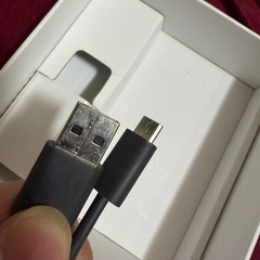 （決まりました）Google Chrome castの画像