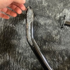 エンジンガードの画像