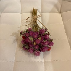 植物たちの画像