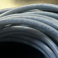 ELECOM  爪折れ防止　LANケーブル　10メートルの画像