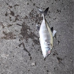 打ち込みセット