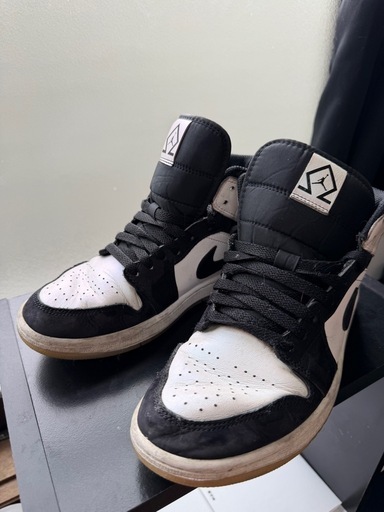 エアジョーダン 25センチ