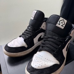 エアジョーダン 25センチの画像