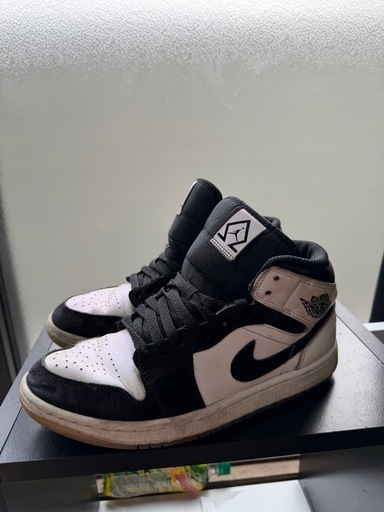 エアジョーダン 25センチ