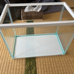 2/27限定⑪水槽セットの画像