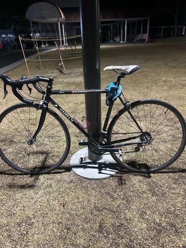 SURLY PACER 急募1日まで！！