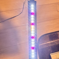 LEDライト60センチの画像
