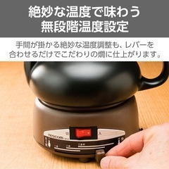 【新品未使用品】TESCOM SK31 酒燗 SAKEKAN 日本酒温め器(1)の画像